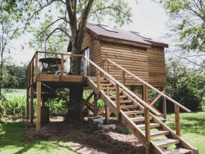 Dreamy Chalet in Barvaux-sur-Ourthe with Sauna